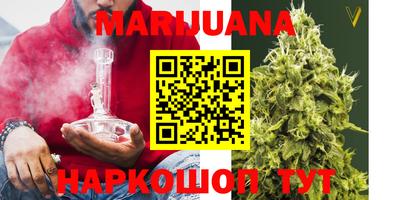 гидра Тара