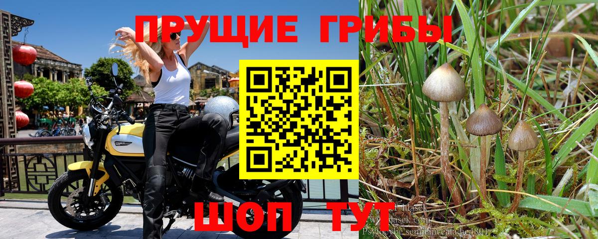 Ноябрьск  Галлюциногенные грибы MAGIC MUSHROOMS  Вход с VPN  Галлюциногенные грибы Cubensis 